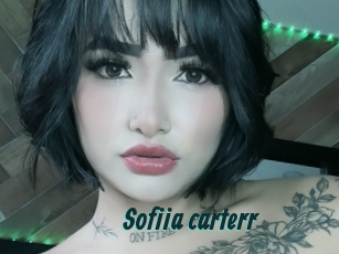 Sofiia_carterr