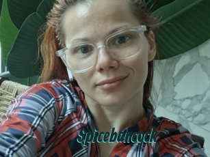 Spicebancock