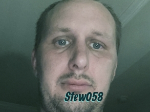 Stew058