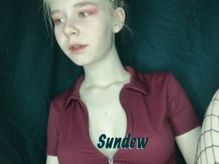 Sundew