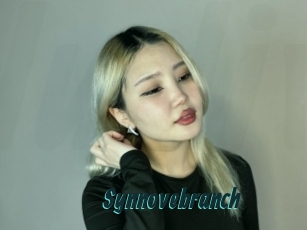 Synnovebranch