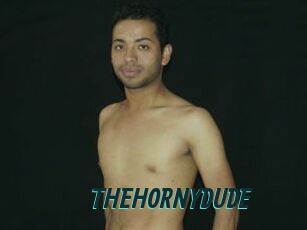THEHORNYDUDE
