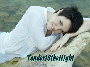 TenderIStheNight