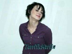 TerrificMerlin