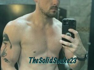 TheSolidSnake23 Lucy Live