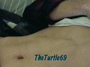 TheTurtle69