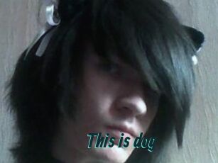This_is_dog