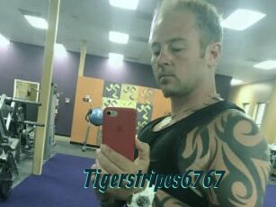 Tigerstripes6767