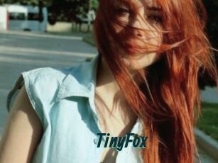 TinyFox