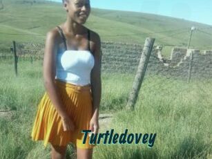 Turtledovey