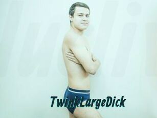 TwinkLargeDick