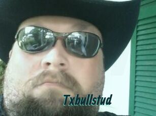Txbullstud