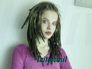 Taitegodsil