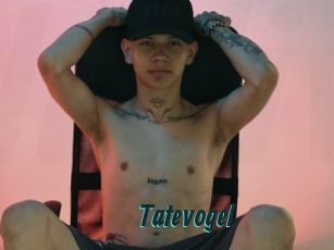 Tatevogel