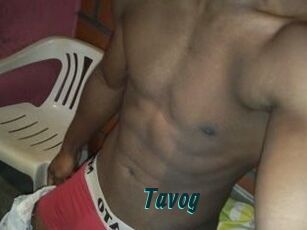 Tavog