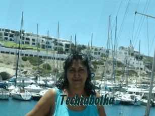 Techiabotha
