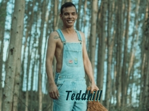 Teddhill