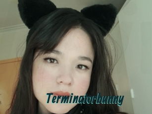 Terminatorbunny