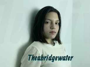Theabridgewater