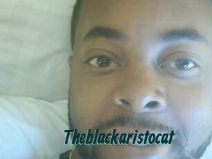 Theblackaristocat