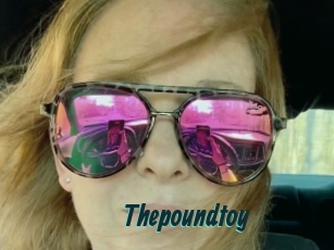 Thepoundtoy