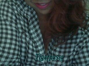 Tigerpussy