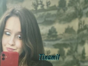 Tinamit