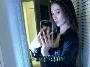 Tiny_taylor