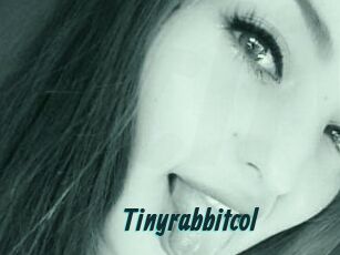Tinyrabbitcol