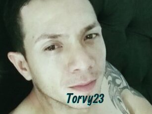 Torvy23