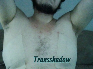 Transshadow