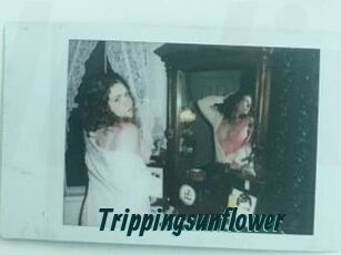 Trippingsunflower