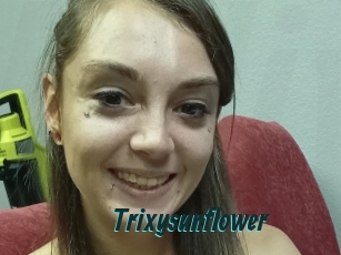 Trixysunflower