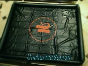 UnchartedSexion