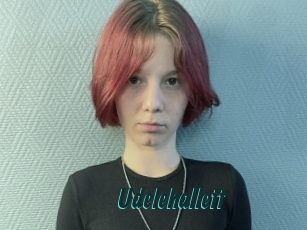 Udelehallett