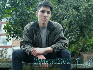 Uppercut210x
