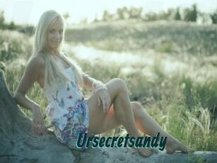 Ursecretsandy