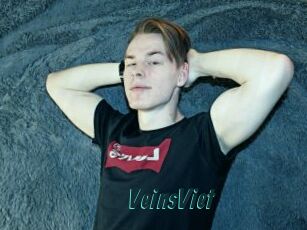 VeinsViet