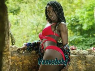 Venusbsbq