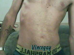 Vincegay