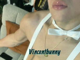 Vincentbunny