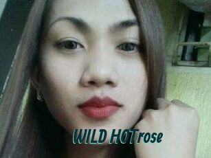 WILD_HOTrose