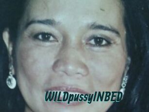 WILDpussyINBED