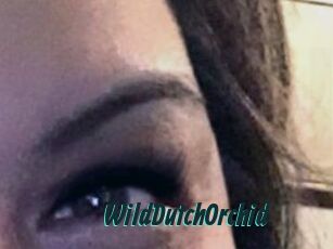 WildDutchOrchid