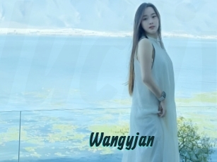 wangyjan Lucy Live