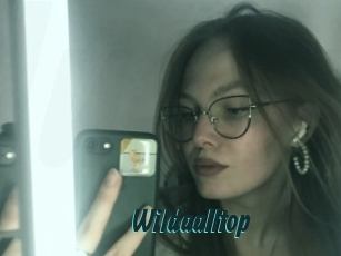 Wildaalltop