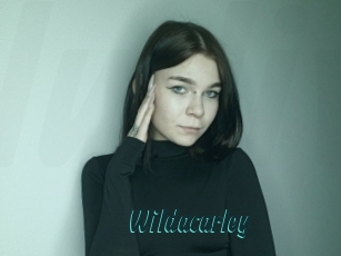 Wildacarley