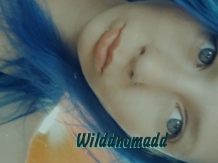 Wilddnomadd
