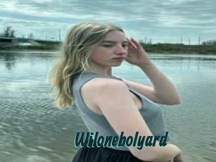 Wilonebolyard