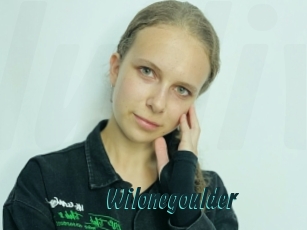 Wilonegoulder
